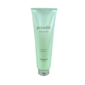 LEBEL Proedit Care Works Hair Treatment Soft Fit 250ml